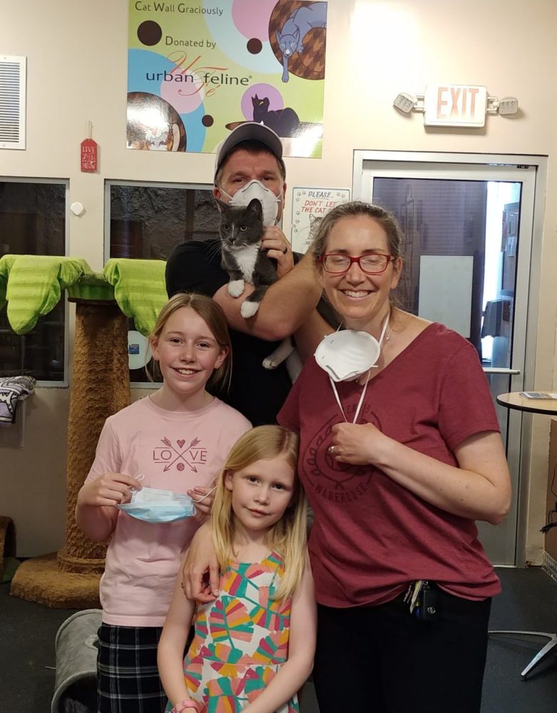 Emmett was adopted at The Cat Cafe